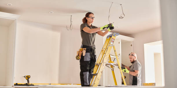 Best Electric Panel Repair  in Mcmillin, WA